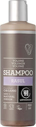 Urtekram Rasul Shampoos Volumen für Alle Haartypen 1x0ml