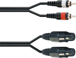 Audio Master TLC154-2/1.5 XLR female - RCA male 1.5m