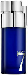 Loewe 7 Loewe 7
