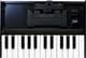 Roland Midi Keyboard K-25m Keyboard Unit with 25 Keyboard Black