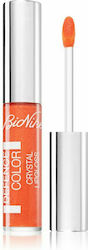 Bionike Defence Colour Lip Gloss 6ml