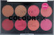 Technic Colour Fix Blush Palette 28gr