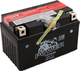 Power Batteries Μπαταρία Μοτοσυκλέτας YTZ10S-BS με Χωρητικότητα 8.6Ah