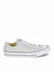 Converse Chuck Taylor All Star Sneakers Γκρι