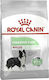 Royal Canin Digestive Care Medium 3kg Trockenfutter für erwachsene Hunde mittlerer Rassen mit Geflügel und Reis