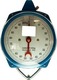 Professional Hanging Scale with Weighing Capacity of 50kg and Division 200gr