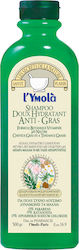 l'Ymola Doux Hydratant Anti-Gras Shampoo 500ml