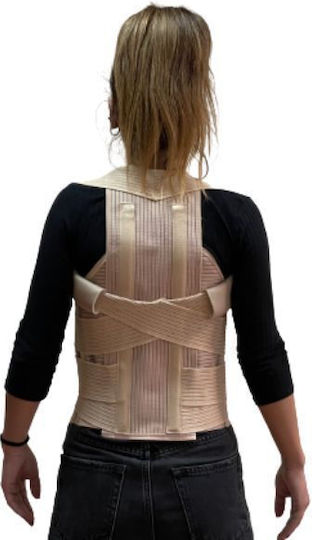 Kifidis Orthopedics Taylor Trunk Splint Beige