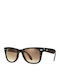 Wayfarer Faltbare Unisex Sonnenbrillen mit Horn umrandetem Rahmen Havana Verlaufsfarbe