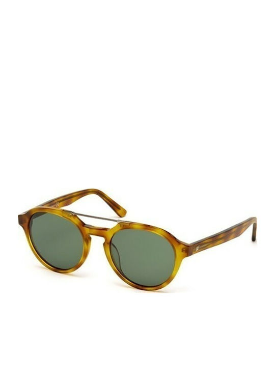 Web WE 0155 Men's Sunglasses with Brown Frame WE0155 53N