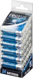 Tecxus Maximum AA 1.5V 24Stück 23818 Tecxus Maximum AA 1.5V 24Stück 23818