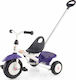 Kettler Funtrike Pablo Convertible with Parenta...