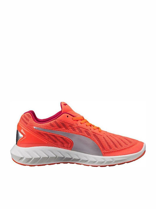 Puma Ignite Ultimate Γυναικεία Αθλητικά Παπούτσια Running Πορτοκαλί