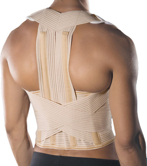 Anatomic Help 0138 Schiene Kofferraum in Beige Farbe