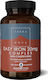TerraNova Easy Iron Complex 20мг 100 вегетариански капсули