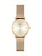 Emporio Armani Gianni Women's Watch Chronograph with Gold Metal Bracelet