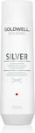 Goldwell Dualsenses Silver 250ml Shampoos Glanz für Alle Haartypen 250ml