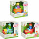 Tomy Push Along Push N Go for 12++ Months Multi (Various Designs/Assortments of Designs) 1pc