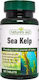 Natures Aid Sea Kelp 187mg 180 ταμπλέτες