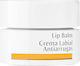 Dr. Hauschka Lip Balm