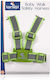 Lorelli Safety with Support Straps for 6+ Month...