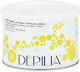 Depilia Facial & Body Canned Hair Removal Wax Μ...