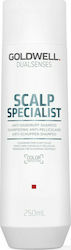Goldwell Dualsenses Kopfhaut Spezialist 250ml Goldwell Dualsenses Kopfhaut Spezialist 250ml