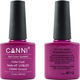Canni Classic Ημιμόνιμο Βερνίκι Νυχιών 019 Dark Fuschia 7.3ml