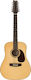 Ashton Акустика Китара DM25/12 12-String Natural Natural