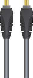 Sinox FireWire Cable 4-pin male - 4-pin male 2m