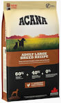 Acana Adult Large Breed Recipe 17kg Ξηρά Τροφή χωρίς Σιτηρά για Ενήλικους Σκύλους Μεγαλόσωμων Φυλών με Κοτόπουλο και Ψάρια