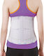Alfa Care AC-1068 Elastic Back Brace For Pain Relief with 28cm High Stays in Gray Color