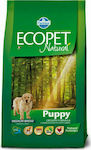 Farmina Ecopet Natural Puppy Medium 12kg Dry Food for Puppies of Medium Breeds with Corn, Chicken and Rice