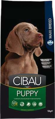 Farmina Cibau Puppy Maxi 12kg Ξηρά Τροφή για Κουτάβια Μεγαλόσωμων Φυλών με Καλαμπόκι, Κοτόπουλο και Ρύζι