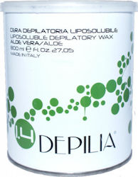 Depilia Hair Removal Wax in Can Chlorophyll 800ml