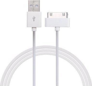 USB to 30-Pin Cable Λευκό 1m (171368702)