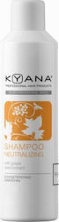 Kyana Salon Professional Neutralizing 1000ml Kyana Salon Professional Neutralizing 1000ml