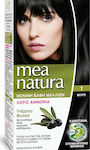 Farcom Mea Natura Set Hair Dye no Ammonia 1 Black 60ml