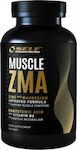 Self Omninutrition Muscle ZMA 120 κάψουλες