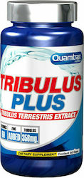 Quamtrax Nutrition Tribulus Plus 60 capace 01-302-020