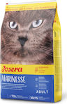 Josera Marinesse Trockenfutter für erwachsene Katzen mit Lachs 2kg