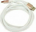 USB 2.0 Cable USB-C male - USB-A male 1.5m White-Gold (QH-C1004)