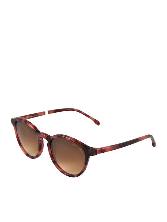 Rebecca Blu Sunglasses Brown with Acetate Frame & Brown Lens Rebecca Blu Sunglasses Brown with Acetate Frame & Brown Lens