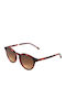 Rebecca Blu Women's Sunglasses with Brown Tartaruga Plastic Frame and Brown Lens RB 8606 XL08