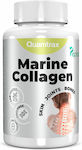 Quamtrax Nutrition Marine Collagen Plus 120ταμπλέτες