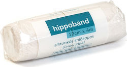 Hippocrates Topmedical Hippoband Idealer Elastischer Verband 12cm x 4m Hippocrates Topmedical Hippoband Idealer Elastischer Verband 12cm x 4m