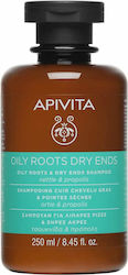 Apivita Shampoo Für Fettige Kopfhaut & Trockene Spitzen Brennnessel & Propolis 250ml