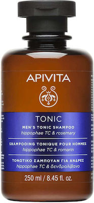 Apivita Men's Tonic Hippophae TC & Rosemary Shampoos gegen Haarausfall für Alle Haartypen 1x250ml