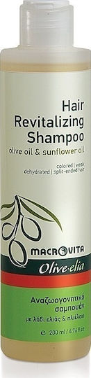 Macrovita Revitalizing Shampoo With Olive Oil and Sunflower Oil Hydrating Shampoo for All Hair Types
