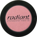 Radiant Blush Color 120 Apple Rose